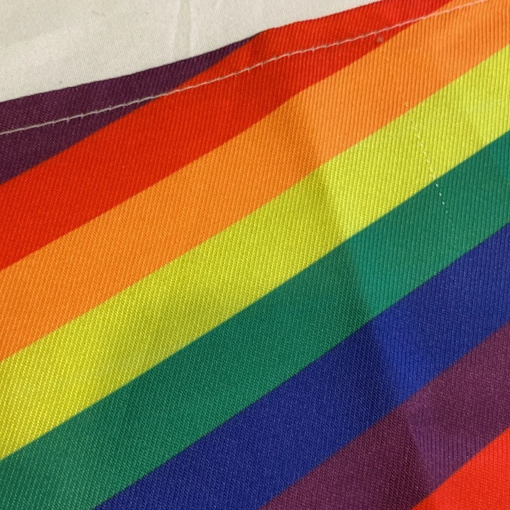 🎀 5/$20 🎀 Hotel Doggy XS/S Rainbow Pride Dog Pet Bandana